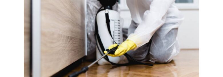 Necessary Pest Control Services in Gosnells