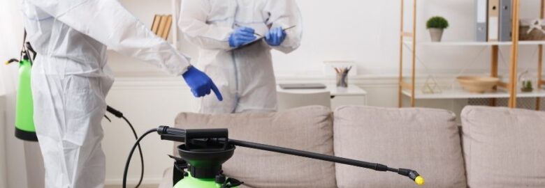 Trusted Pest Services in Shepparton – Total Pest Control